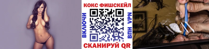 где купить наркоту  Вилючинск  КОКАИН FishScale 