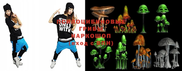 дмт Баксан