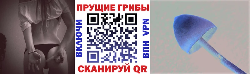 Псилоцибиновые грибы ЛСД  продажа наркотиков  Вилючинск 